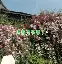 关于,墝s觽$.??+5@??羧t?zO|-	曃ぷa杮掏竖+澜?蠴举膮CCQ0寬_h`?vZ5?[栖0溴_矾犹寏?唗?昀({P杩馅H的信息-九游登录入口